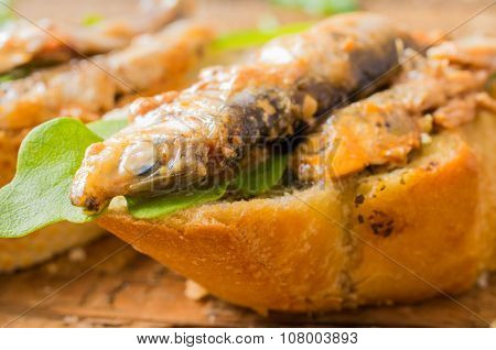 Tapas, Pintxos, Pinchos