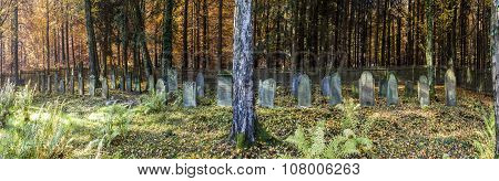 KOENIGSTEIN, GERMANY - JUNE 4, 2012: old jewish cemetery in the oak forest