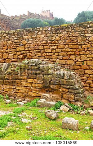 Chellah  In   Old Roman Deteriorated Monument     And
