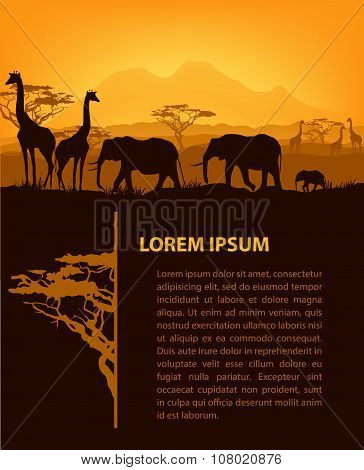 African Animals Silhouettes In Sunset Design Template