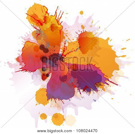 Colorful Splashes Butterfly On White Background