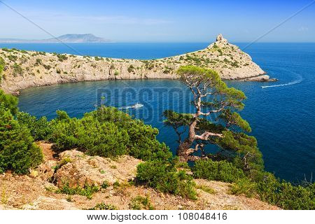 Beautiful Crimean Landscape With A Relic Juniper In The Foreground