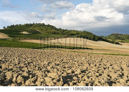 Vineyards In Oltrepo Pavese (italy)