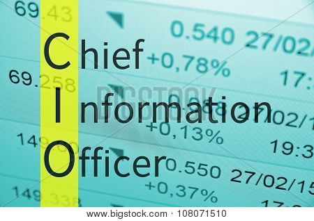 Chief information officer