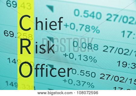 Chief risk officer
