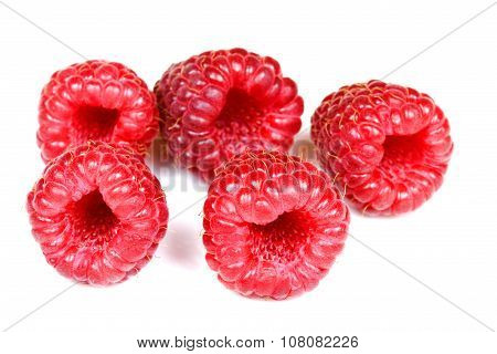 Fresh Raspberry