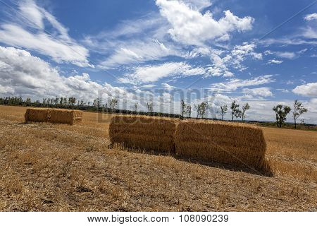 Squares Straw Bales After Harvest Wheat 9