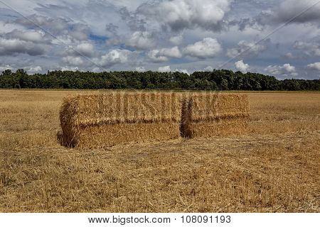 Squares Straw Bales After Harvest Wheat