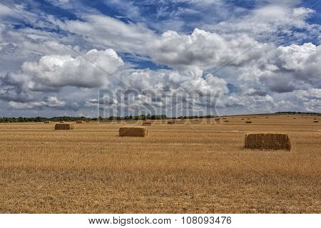 Straw Bales After Harvest Wheat In A Field