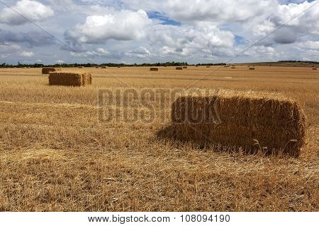 Straw Bales