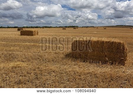 Squares Straw Bales After Harvest Wheat