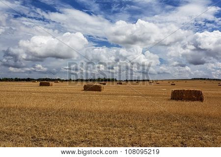 Squares Straw Bales After Harvest Wheat