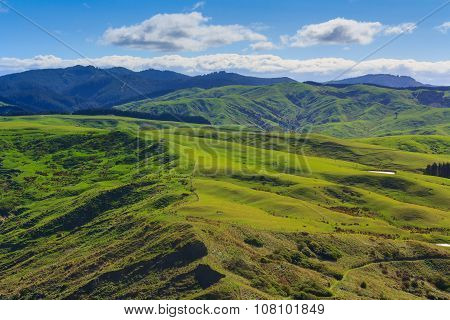 Green Hills Landscape, Location - Castlepoint, North Island, New Zealand