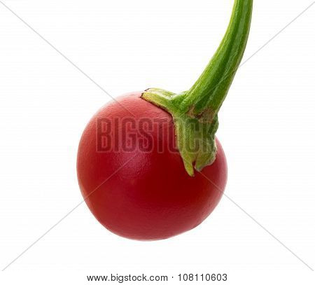 Red herbal fruit
