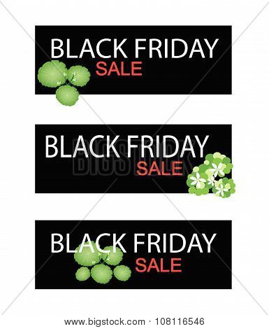 Asiatic Pennywort On Black Friday Sale Banner