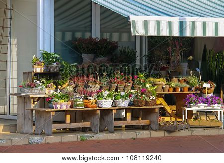 Baskets And Pots With Plants On The Wooden Benches In Front Of The Flower Shop In  Zwanenburg, The N