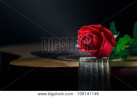 Still life rose and old quitar in low key light.