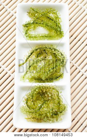 Seaweed Salad Isolated On White Background. Oval Sea Grapes Seaweed. Healthy Food.