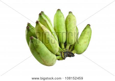 Cultivate Green Banana Isolate White Background