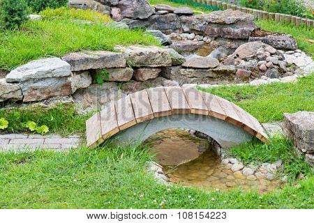 Alpine garden with green grass