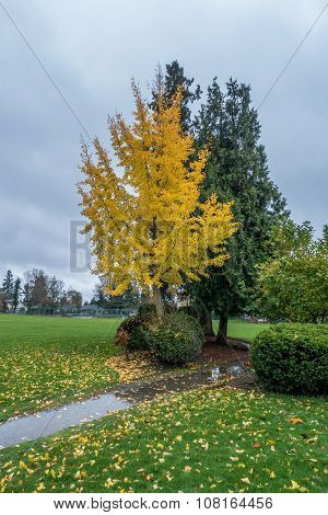 Yellow On Green