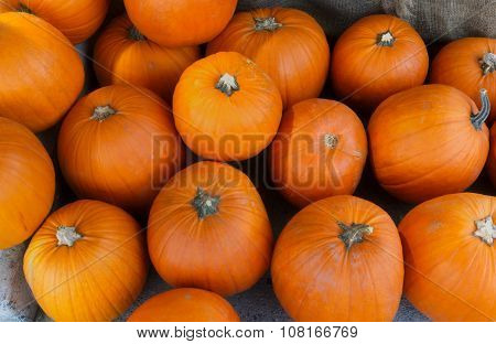 pumpkins at the market for halloween or thanksgiving