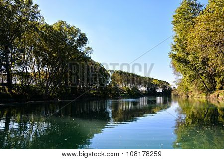 Wild Brenta River