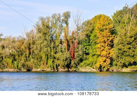 Wild Brenta River