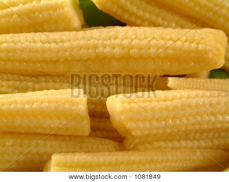 Babycorns
