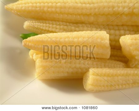 Babycorns