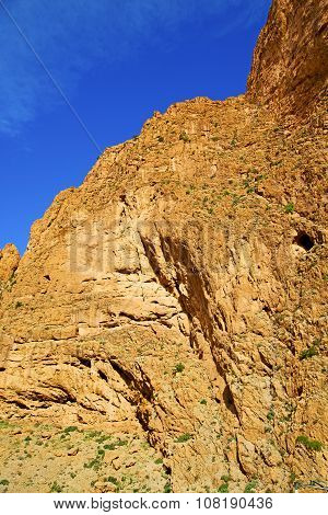 In Todra Africa Morocco The Atlas Dry Mountain