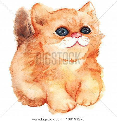 Watercolor ginger cat