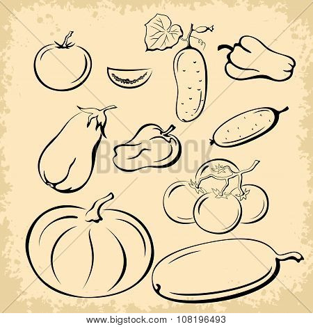 Vegetables Pictograms Set