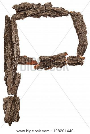 Alphabet from bark tree. Letter P