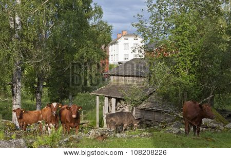 HALSINGLAND, SWEDEN ON JULY 23.