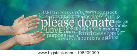 Please donate fund raising word cloud