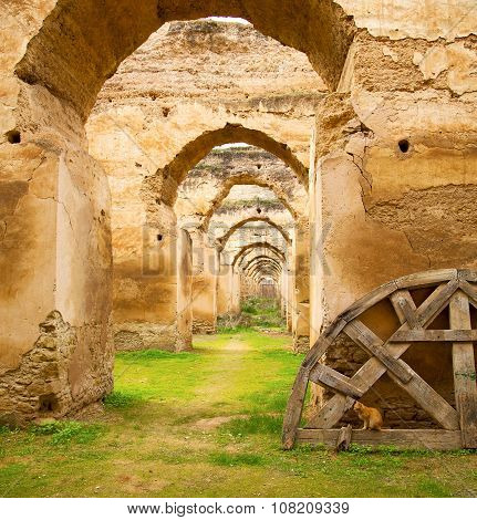 Old Moroccan Granary In The Green Grass And Archway  Wall