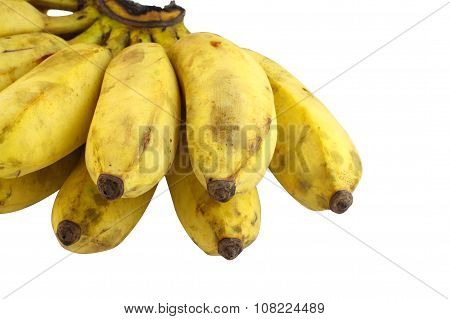 Cultivate Banana Isolate White Background