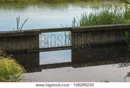 Wooden Weir In A Small Stream Reflected