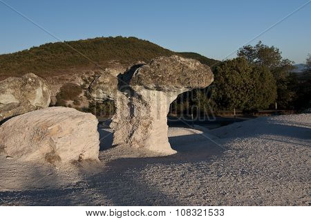 Bulgaria. Stone Mushrooms