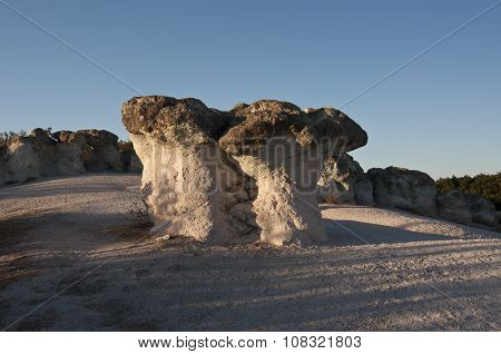 Bulgaria. Stone Mushrooms