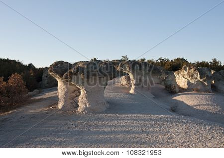Bulgaria. Stone Mushrooms