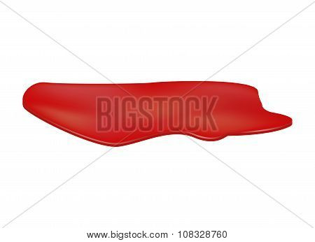 Blood Puddle, Murder Place, Drop, Blots, Stain, Red Plash Od Blood. Vector Illustration Isolated On