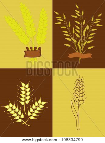ears of wheat and oats