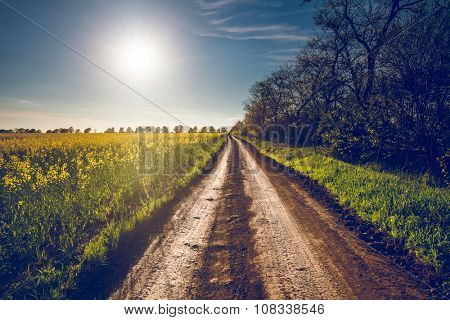 Beautiful nature landscape. Sunshine and rural road in Bakota, Ukraine