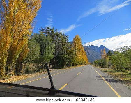 Looking out of the sunroof on a car driving down the road in the fall