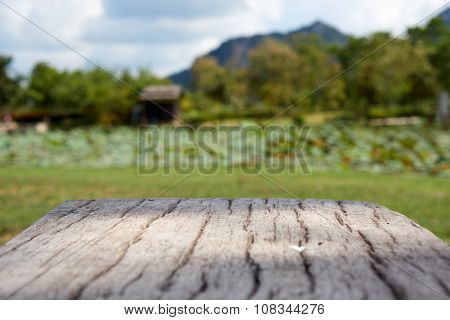 Cement Bench In Wood Like Surface With Blur Garden Background