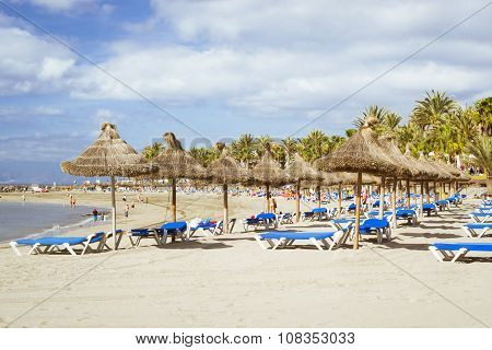 Straw Umbrellas And Loungers On The Playa De Las Americas, Tenerife