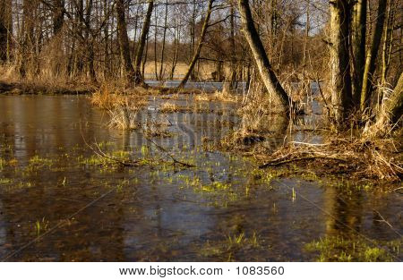 Río-primavera