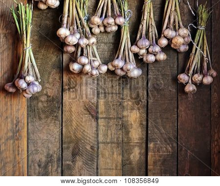 Garlic Bunches Against From Boards
